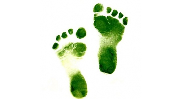 Imagem 01