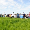 Sabor Caseiro fornece refeições do Dia de Campo do Irga