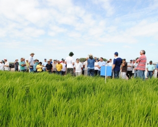 Sabor Caseiro fornece refeições do Dia de Campo do Irga