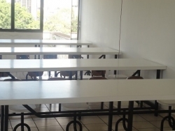 Afisckon, desde 1994